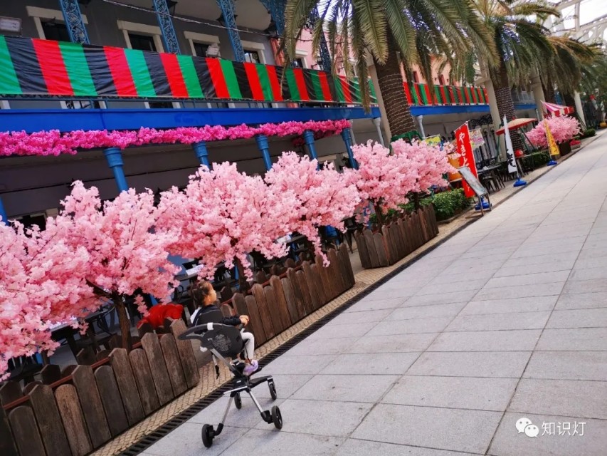 赌城简介,走进赌徒的内心世界