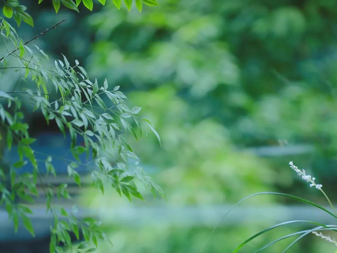 这160句国学经典全都是精华,这20句俗话说尽了人生