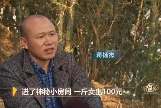 把竹鼠从洞里逼出来,竹鼠养殖关进小黑屋是什么效果