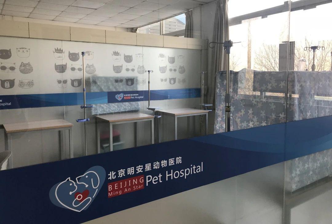 走进学者型院长的思维花园  专访明安星动物医院院长刘德