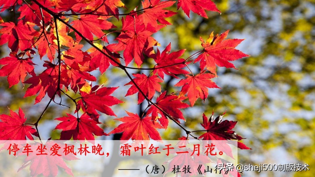 一年级下册识字春夏秋冬生字视频,一年级语文下册春夏秋冬课文朗读