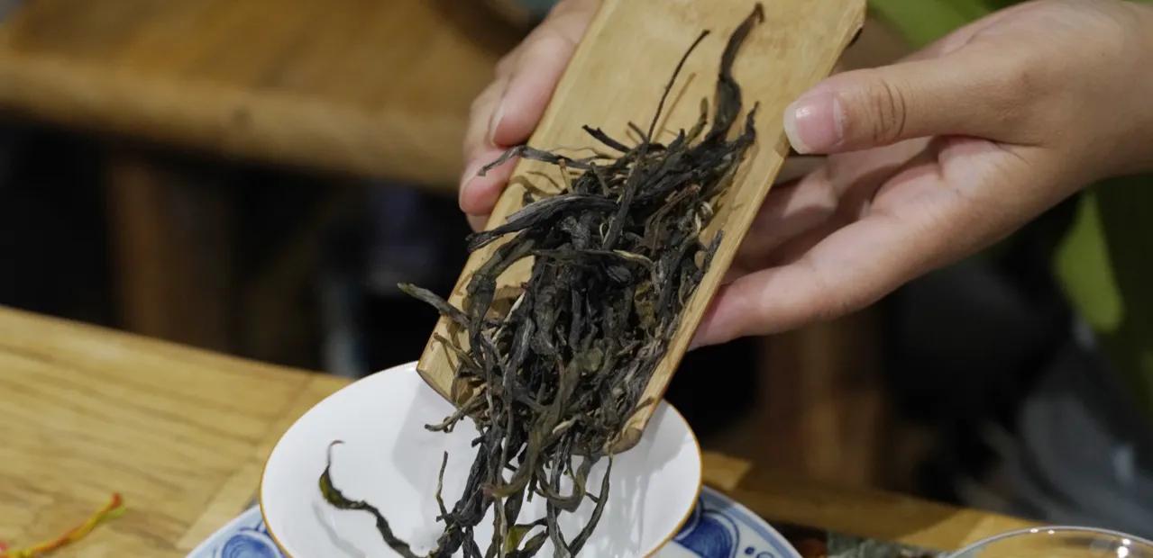 什么茶叶耐泡最久,最耐泡的茶叶排名