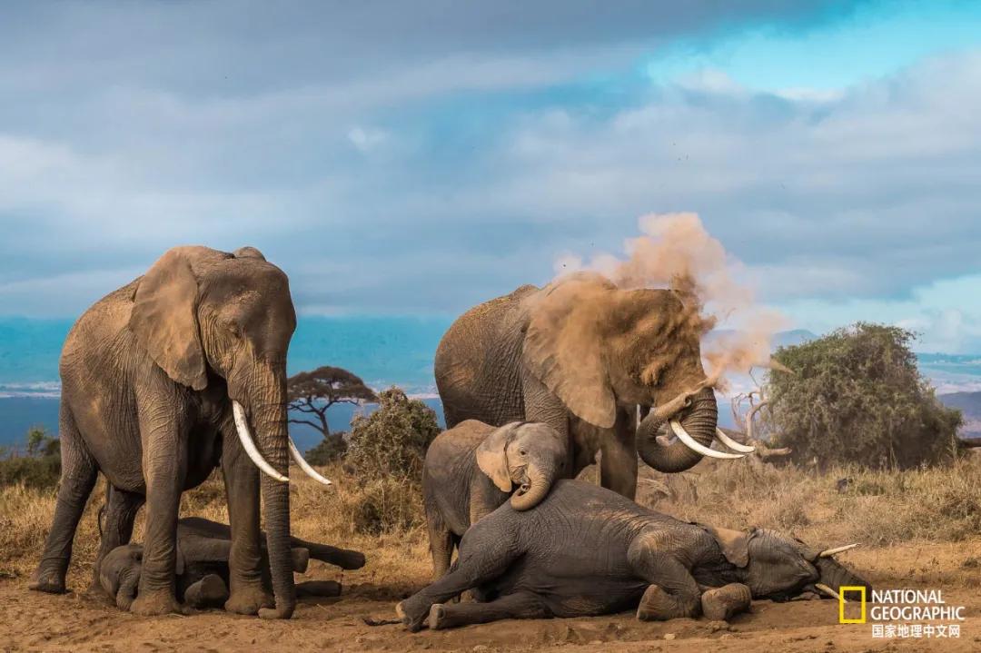 我们的地球很老了吗,地球还能再活几岁