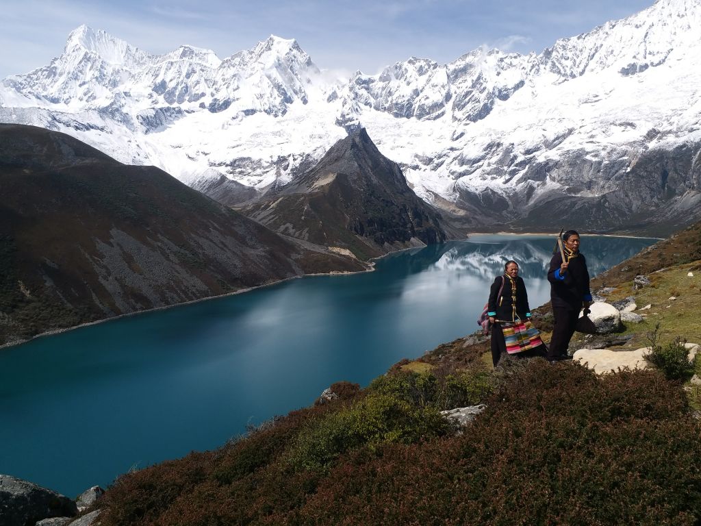 广东卫视2020年,广东卫视布局