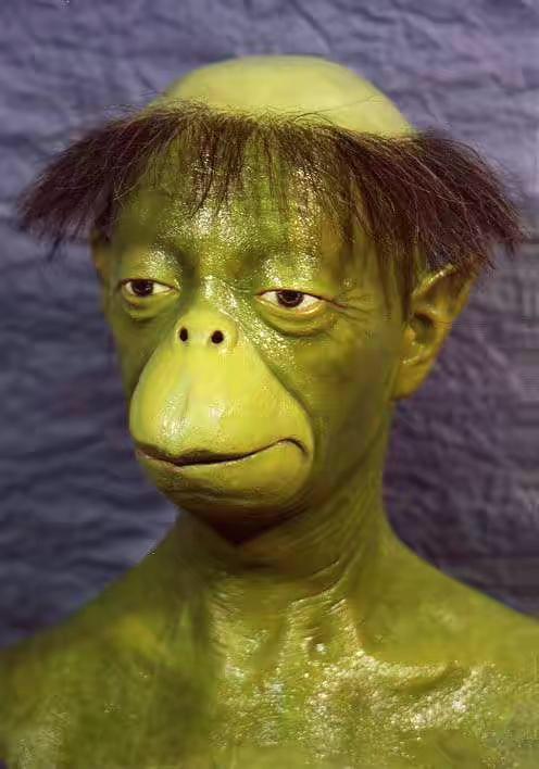 1990年日本发现的河童,1991年日本河童上岸视频曝光