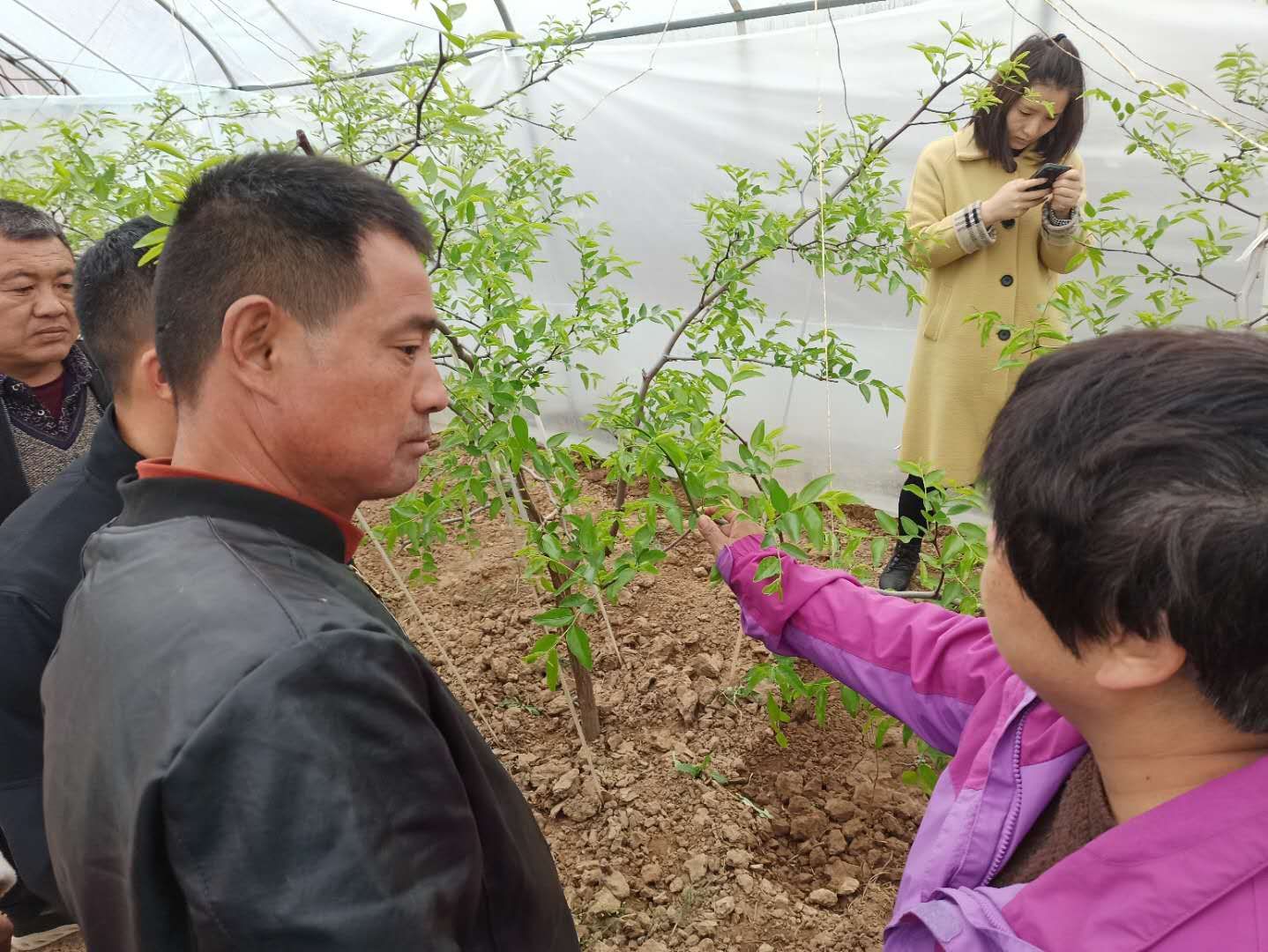 渭南大荔县大风,大荔大风农民自救