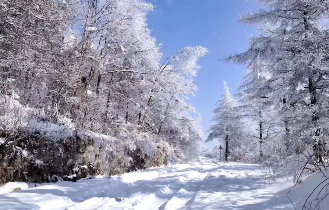 怎么用普通的手机拍出雪景大片,用手机原相机怎么拍雪景才好看