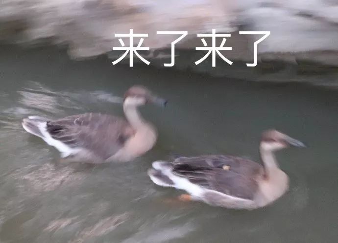 实体店和淘宝同款衣服,网店的衣服和实体店的有什么区别