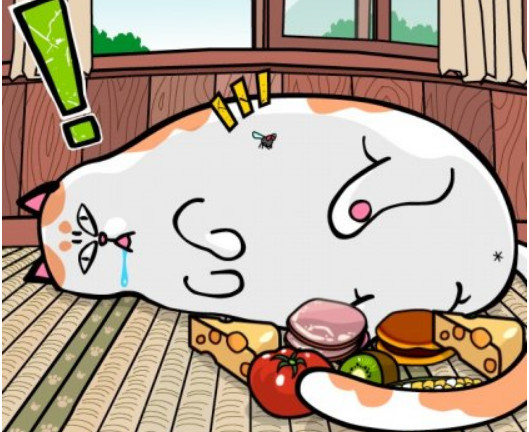 猫咪能吃哪些维生素,猫咪能吃太多营养补充剂吗