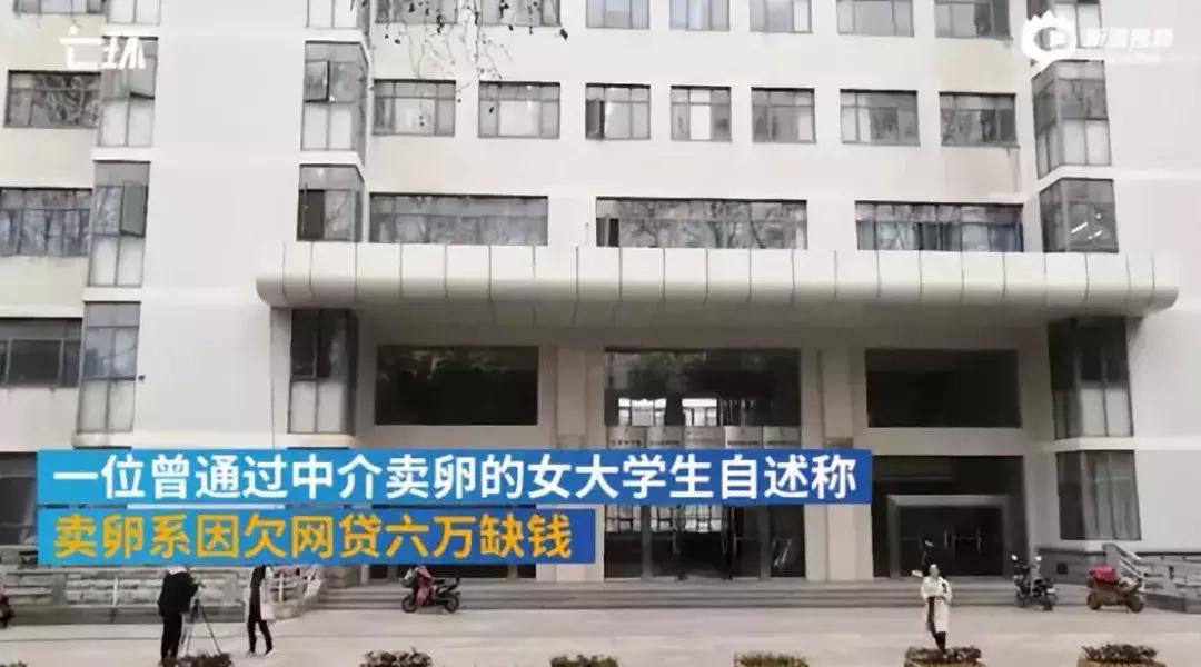 不打麻药取40颗卵子,不打麻药取29颗卵子有多疼