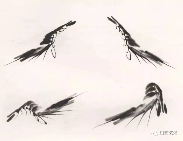 国画用胶矾水画虾技法,娄师白画虾技法视频