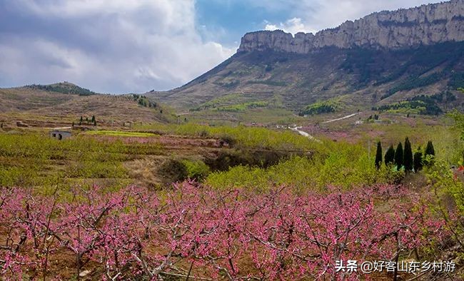 济南市五一假期游玩,济南旅游活动