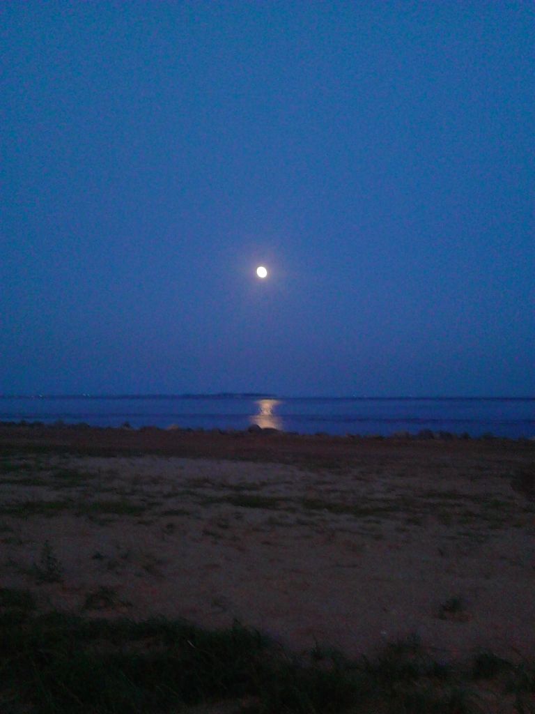 山东威海刘公岛船票,山东威海刘公岛简介