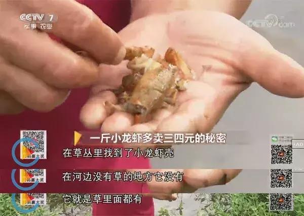 自己跑市场做点生意,隐秘的商机