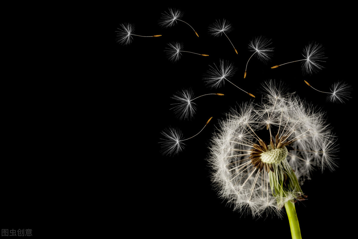 哪种疾病被称为眼科心身疾病,身心疾病和心身疾病的区别