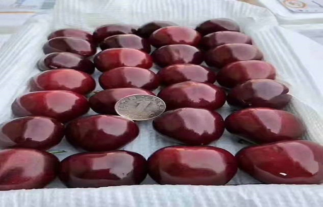 网上买的大樱桃有味道,大樱桃有股塑料味