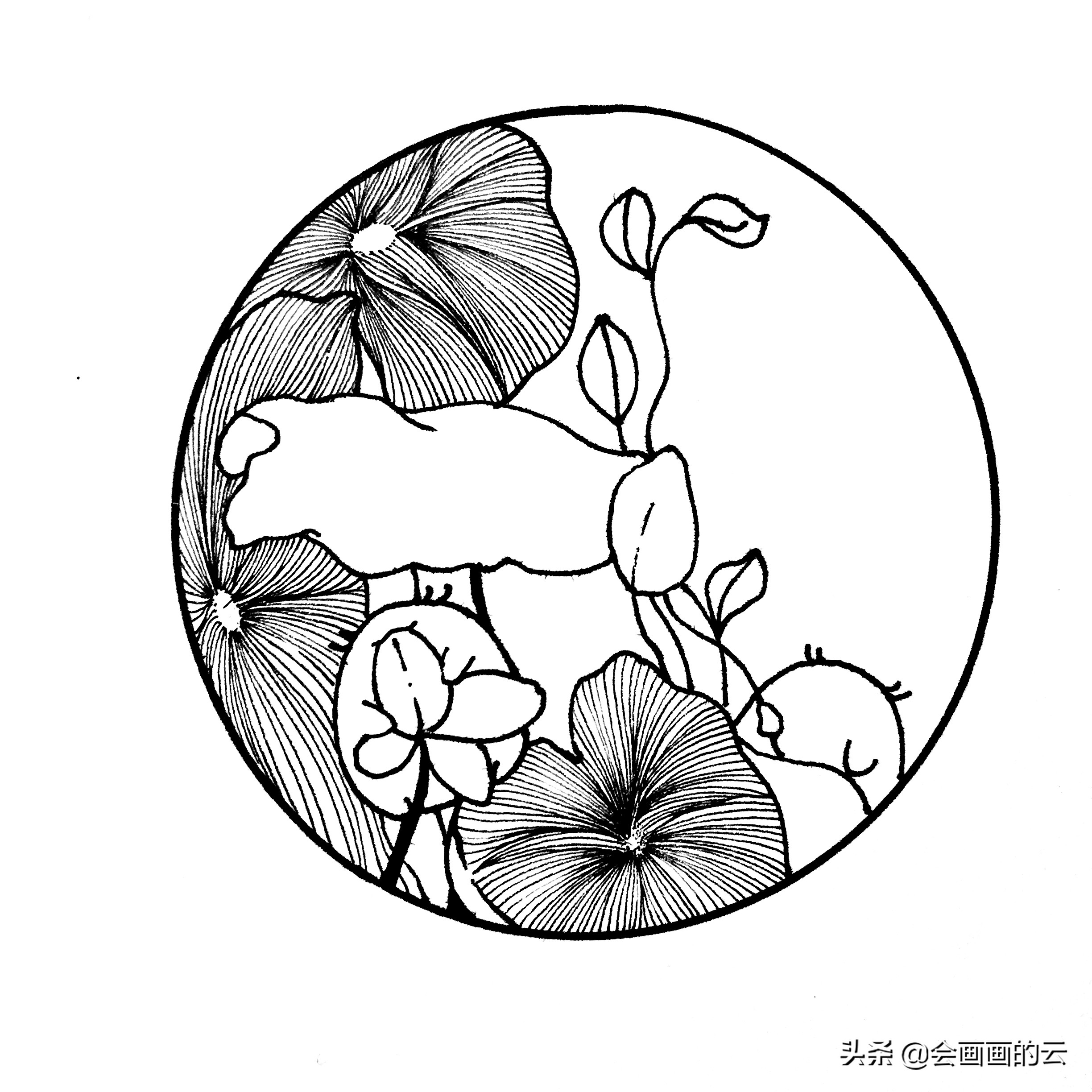 二次元简笔画教程新手入门必备,画画新手必练300图简笔画