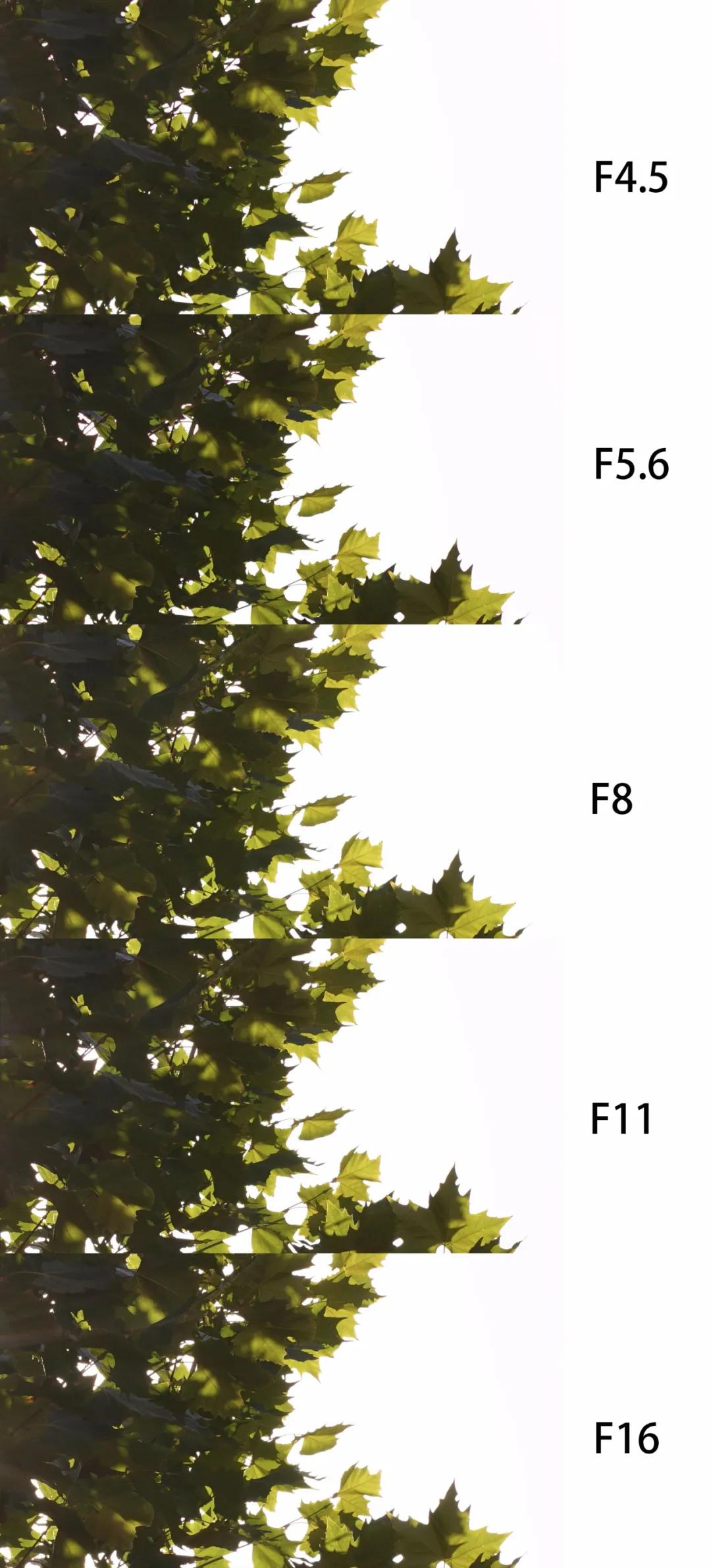 腾龙70-300mm长焦索尼微单e卡口镜头,长焦镜头腾龙