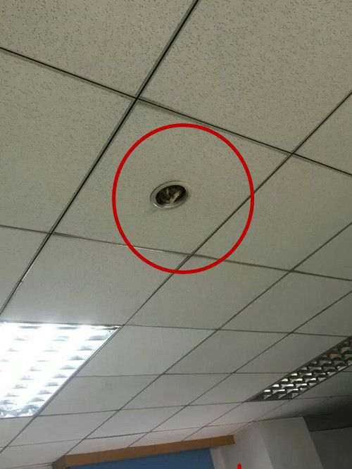 学校新装的猫眼摄像头,学校猫眼摄像头