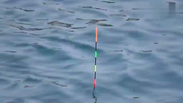 钓鱼高手个个都是钓鱼高手,钓鱼高手怎么升级最快