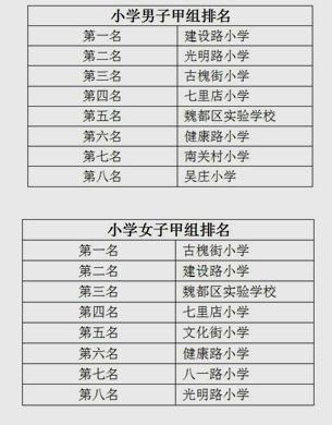 站前区区长杯小学生足球联赛,平顶山市长杯足球联赛小学2019