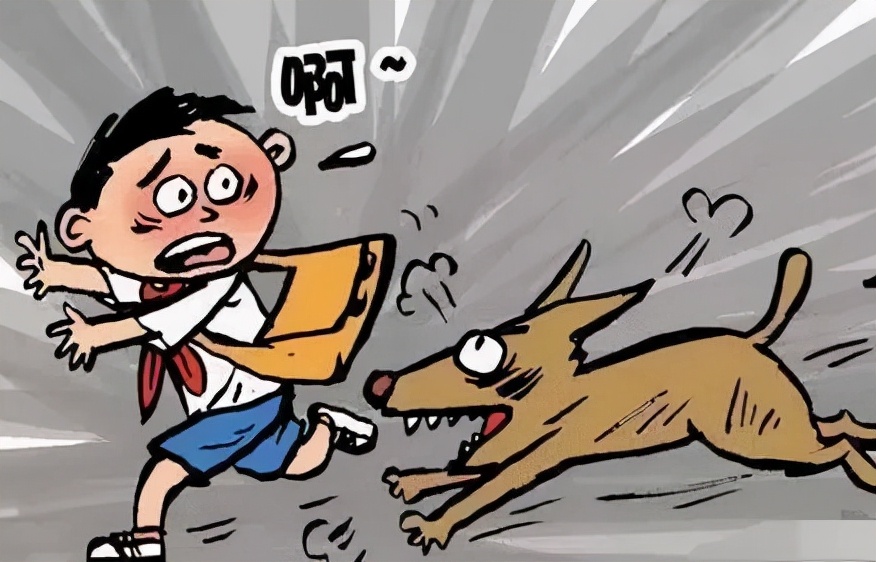 民法典狗咬到人狗主人不赔怎么办,流浪狗咬了人谁来承担责任