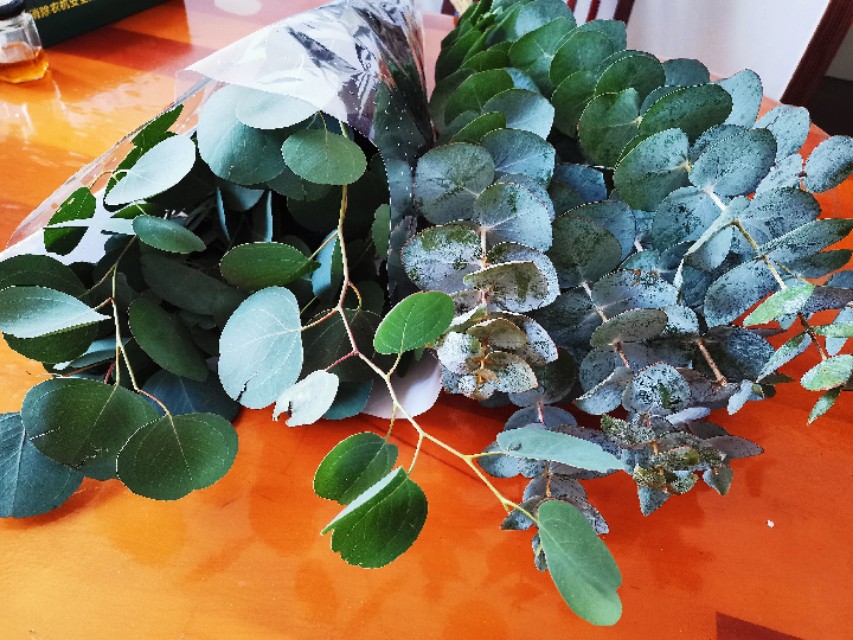 选好优质品种年年大丰收,选好品种好种苗好技术