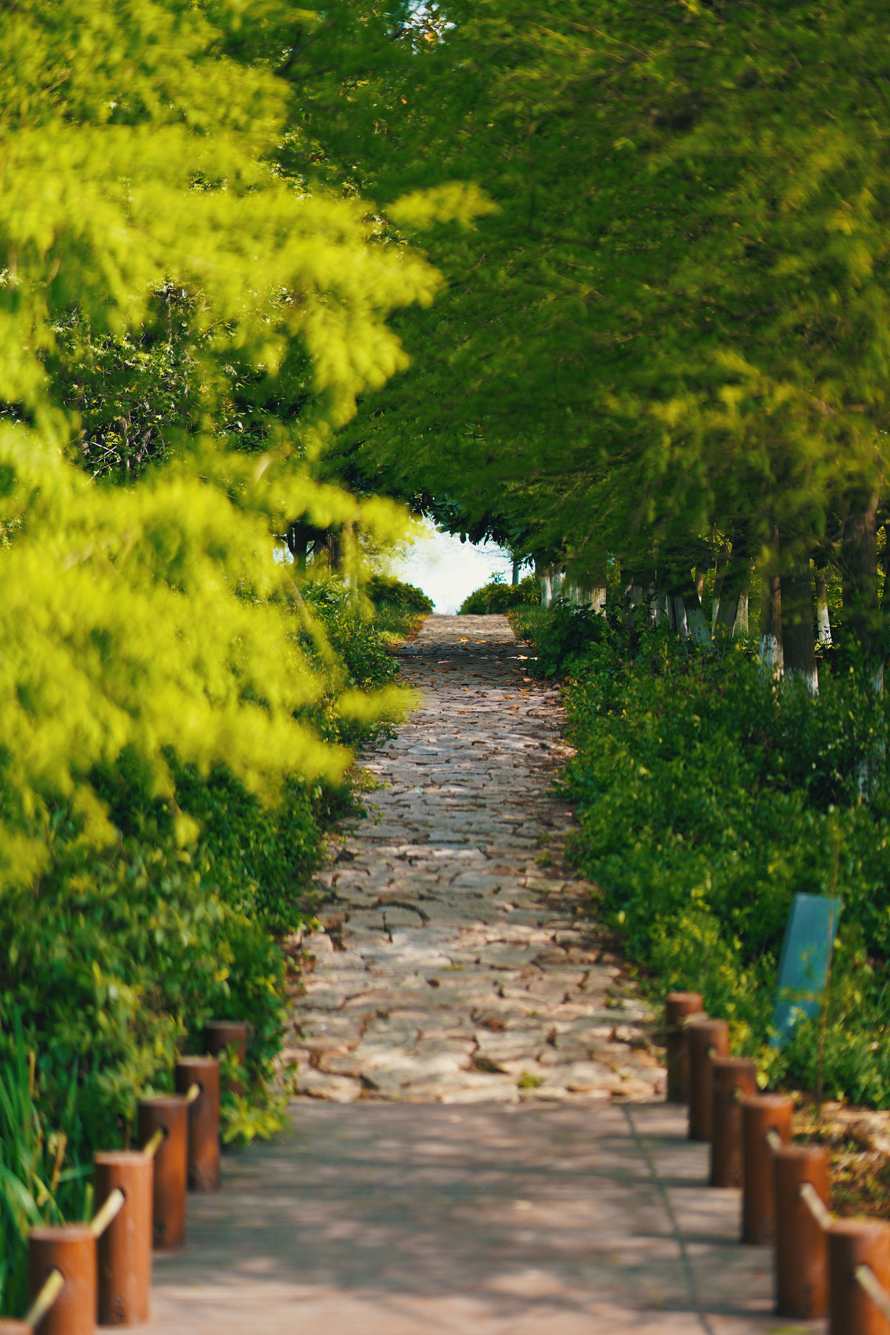 苏州特色民宿推荐,苏州最有特色民宿推荐