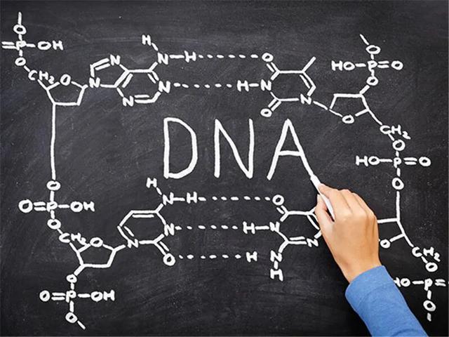 胰腺癌患者7大问！权威医生清清楚楚逐一解答，都是干货请收藏！