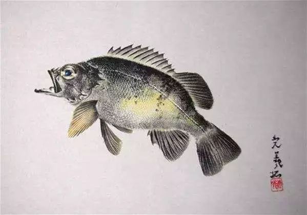 他买了一条草鱼，直接印在画纸上，专家大赞：好画，鱼活了
