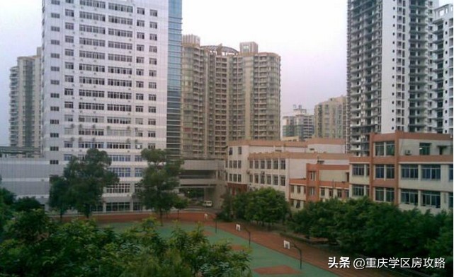 南岸初中学校排名2024,南岸区初中学校推荐