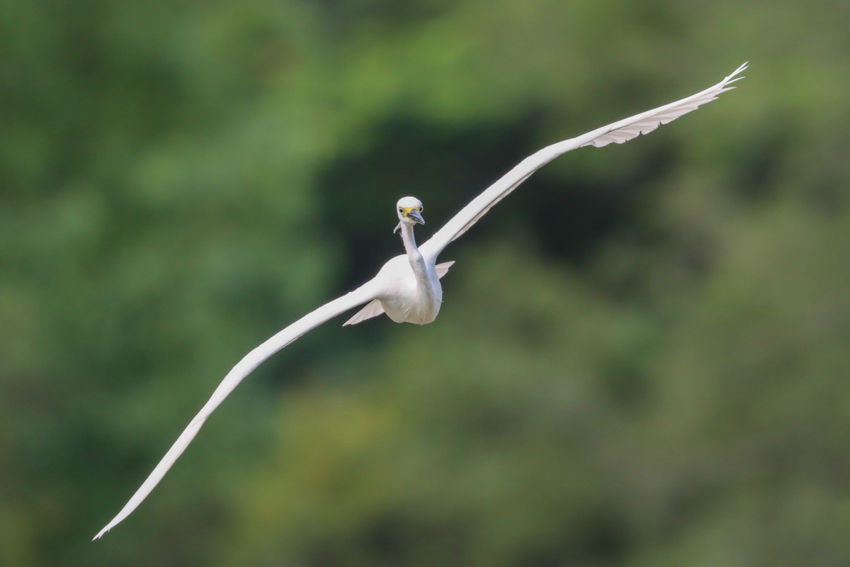 佳能eos90d适合拍产品么,佳能eos90d拍摄效果