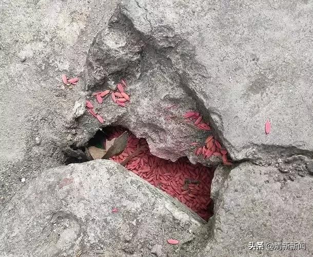 家里老鼠多有什么吓老鼠的神器,防止家里老鼠进屋