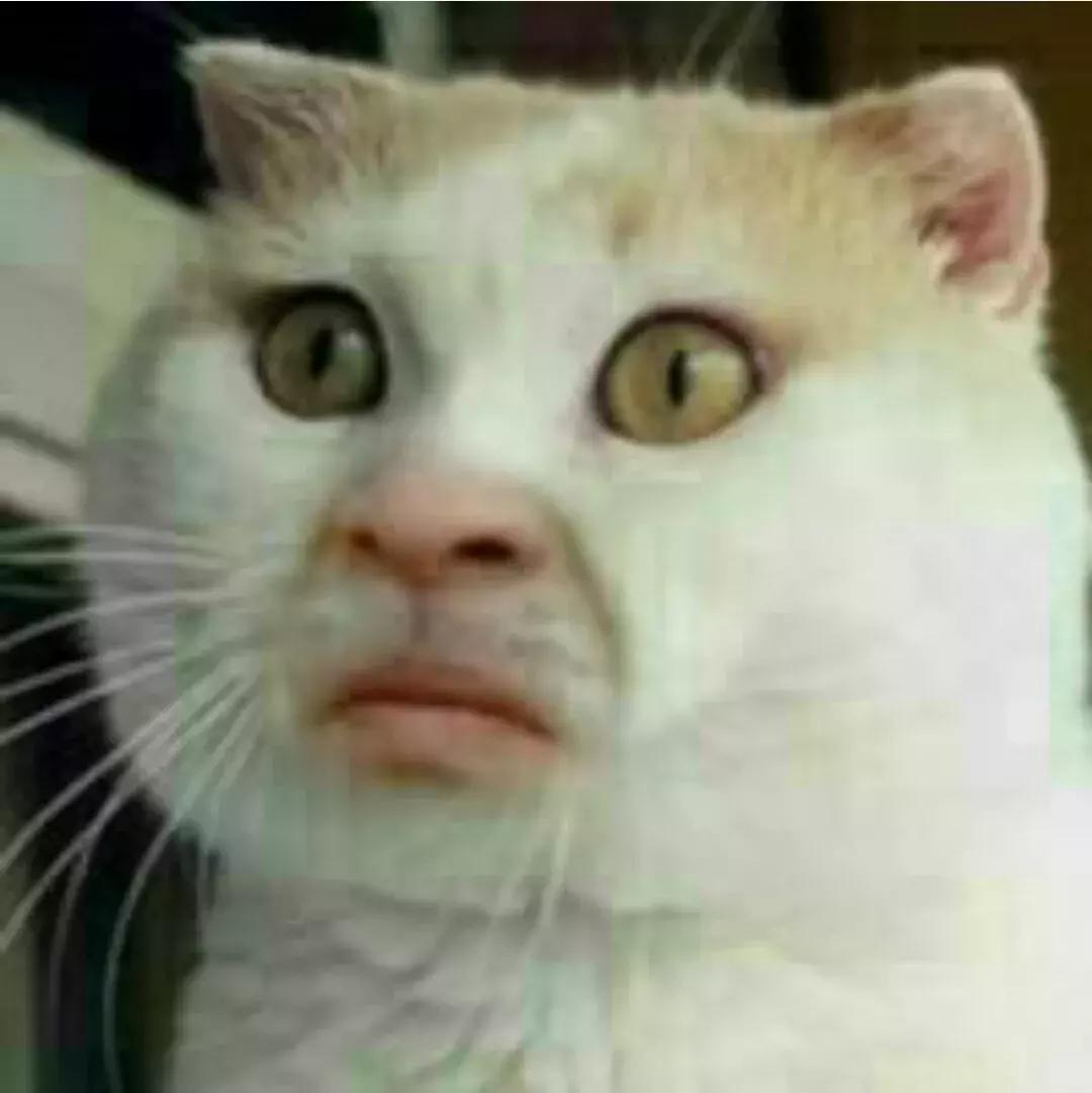 一个杯子漫天要价,一个杯子卖高价