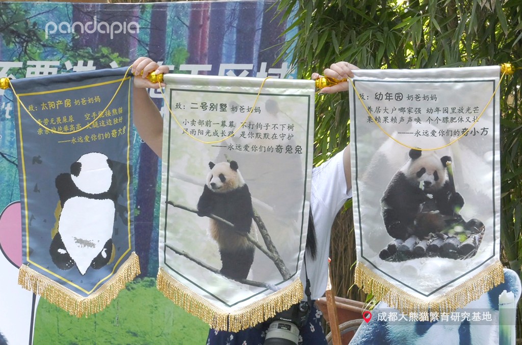 做塑料姐妹,真正的塑料姐妹是什么样的