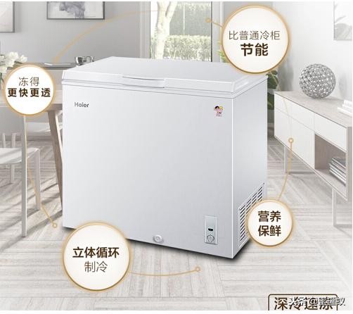 侧开门冰柜哪个牌子质量好,冰柜哪个牌子质量好性价比高海尔