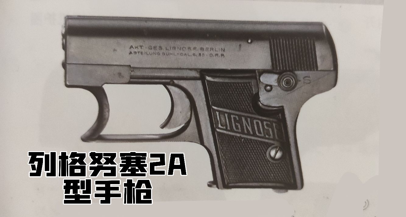 英国枪史图册全篇,德国枪图片