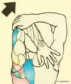 中医如何治疗肌肉僵硬,弯不下腰酸痛无力