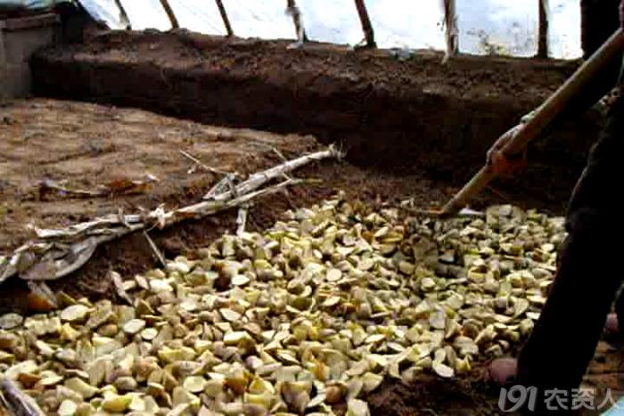 马铃薯免耕栽培技术视频,马铃薯高产栽培技术的参考文献