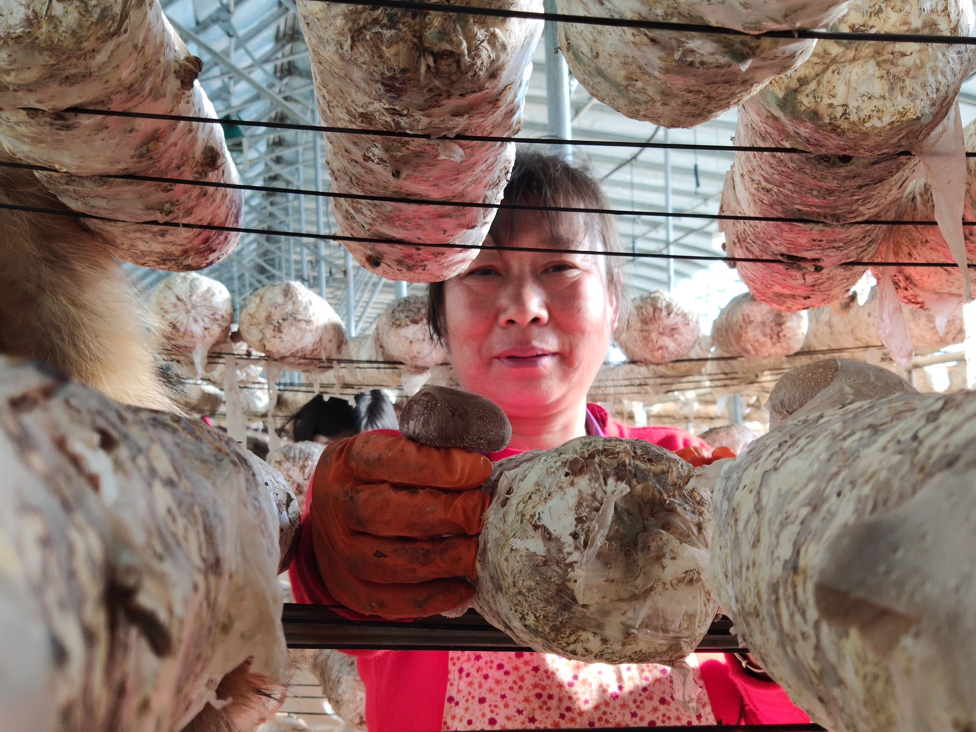 回望脱贫路⑧丨八年之后曾经的国家级贫困县阜平什么样了？