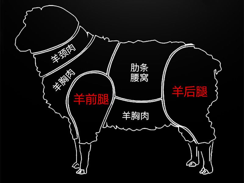 买羊腿时后腿瘦还是前腿瘦,买羊腿连骨称吗