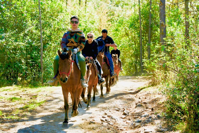 丽江打卡的九个地方,丽江拉市海网红打卡攻略