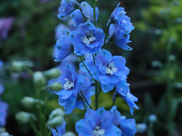 文言文词类活用口诀,文言文中词类活用有哪几种