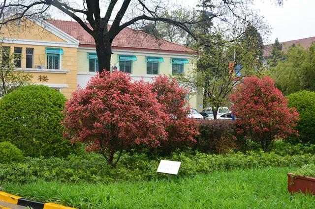 陕西省第四医院麻醉科招聘,陕西第五人民医院医生