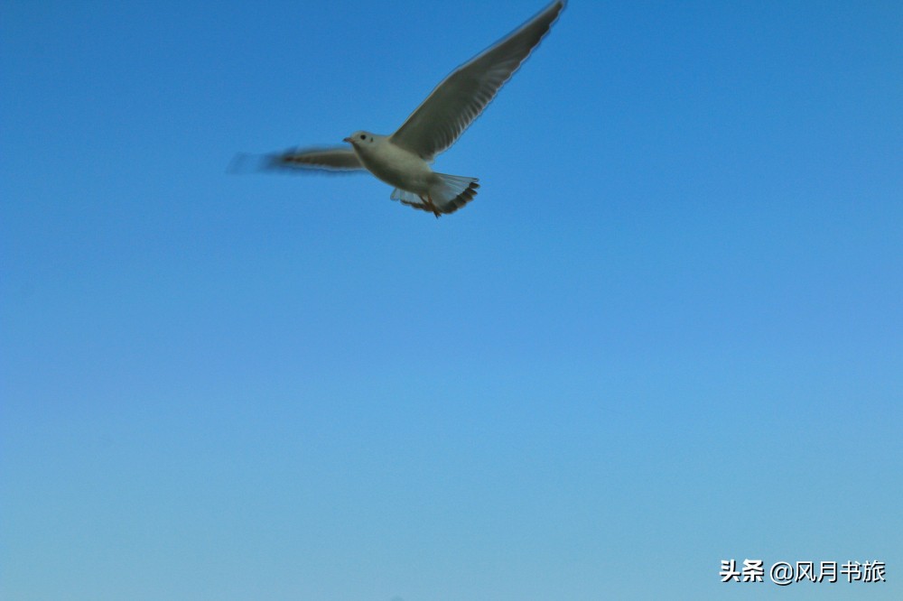 西昌山火扑灭！东方狂欢节邀你赴约，亿万年山海风光等你赏阅！