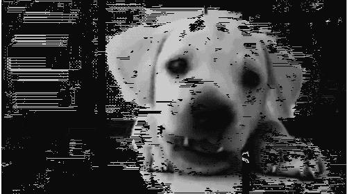 冬天宝宝皮肤粗糙颗粒状像鸡皮痒,猫咪肉垫上有个硬硬的是什么东西