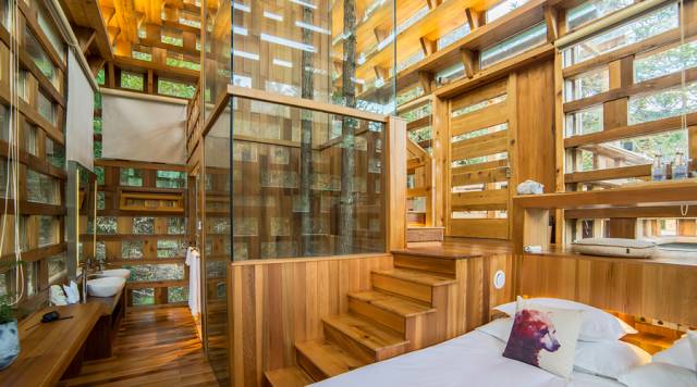 真正的森林树屋,这些树屋满足你对森林的所有幻想