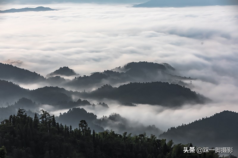 摄影能带来快乐体验,摄影带来什么