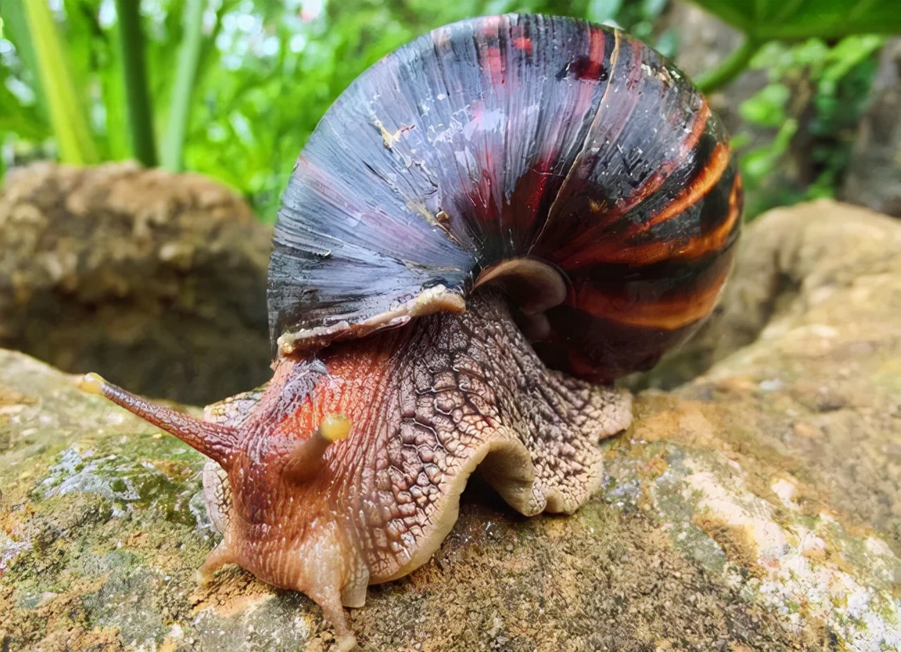 每天收到陌生人转账自己能花吗,不要轻易向陌生人转账后面是什么