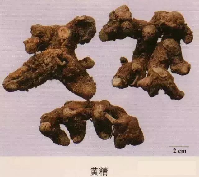 中药材图片大全大图带药名,200多味中药材图谱带图